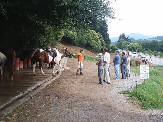  Explicações anteriores sobre passeios a cavalo 